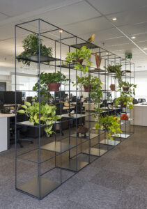 thiết kế văn phòng phong cách xanh